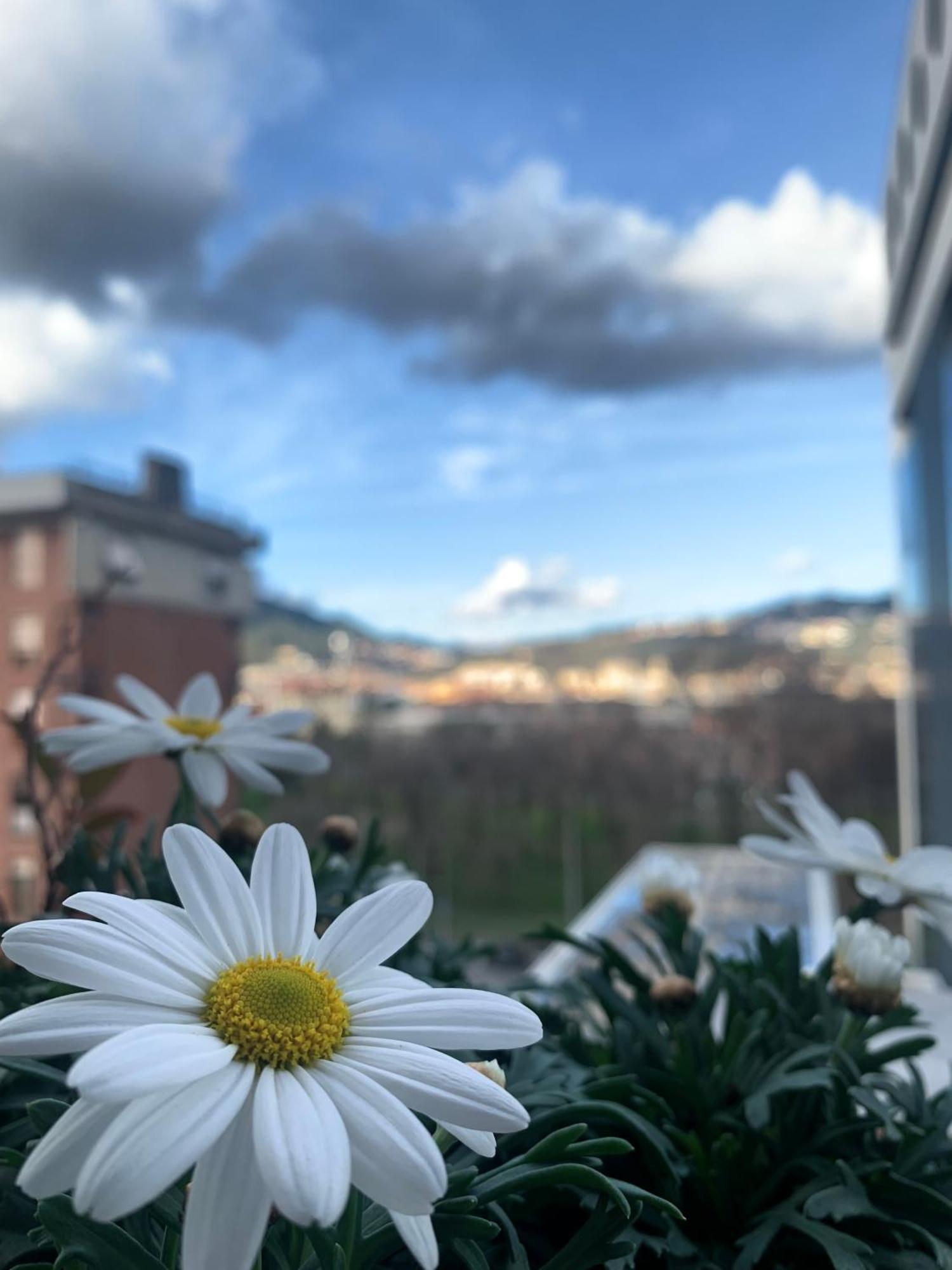 La Finestra Sul Parco Lejlighed La Spezia Eksteriør billede